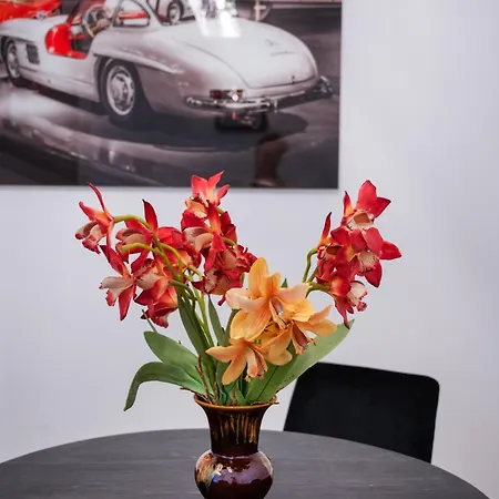 Wohngut-city 3 Fuer Max 5 Personen Inklusive Parkplatz